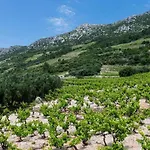 Dinga -borak - Two Bedroom With Terrace No 1 דירה