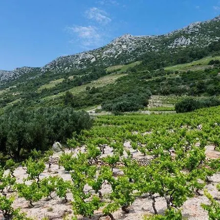 Dinga -borak - Two Bedroom With Terrace No 1 דירה