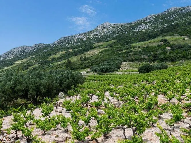 Dinga -borak - Two Bedroom With Terrace No 1 公寓